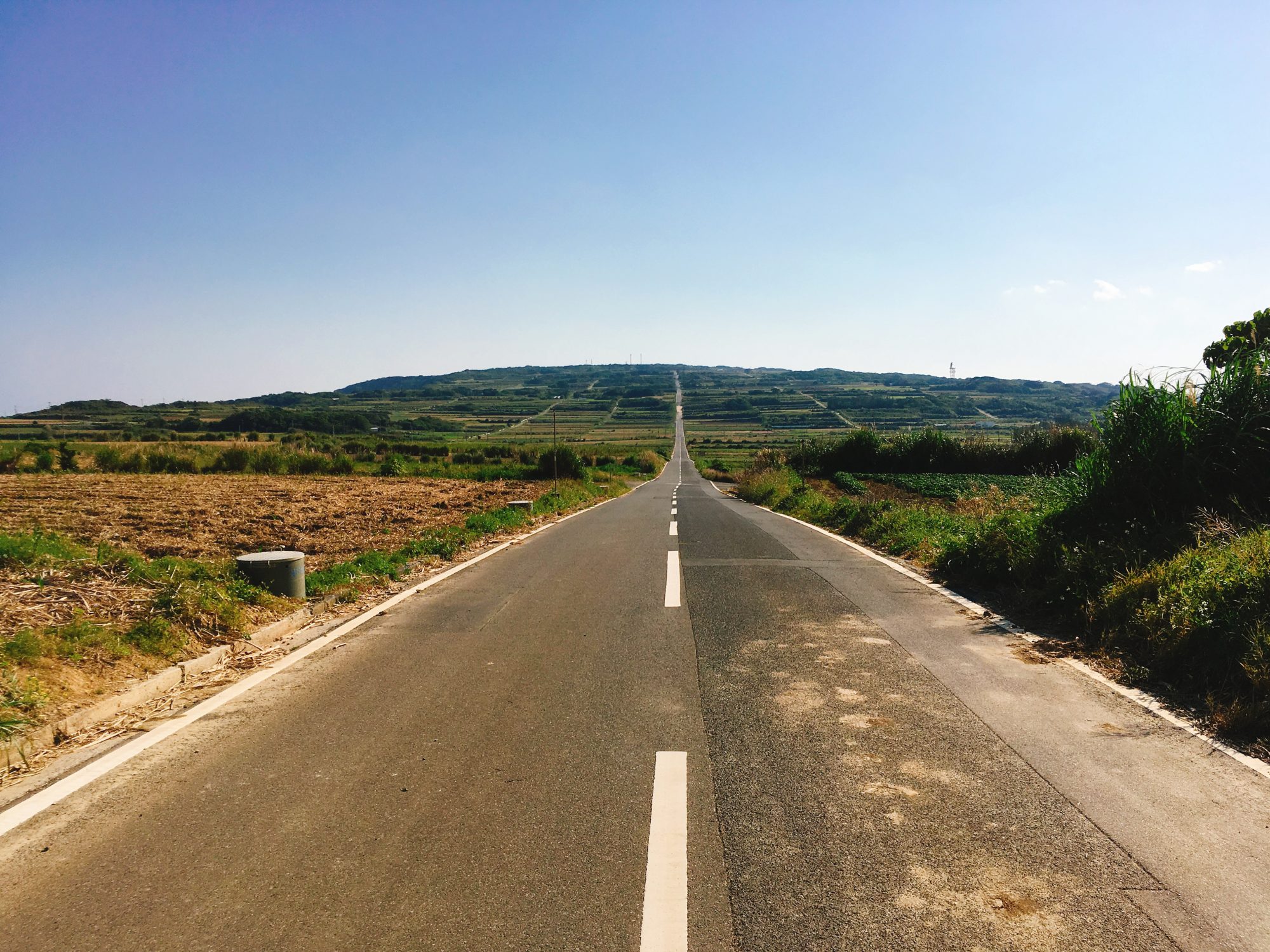 田畑ファーム２１