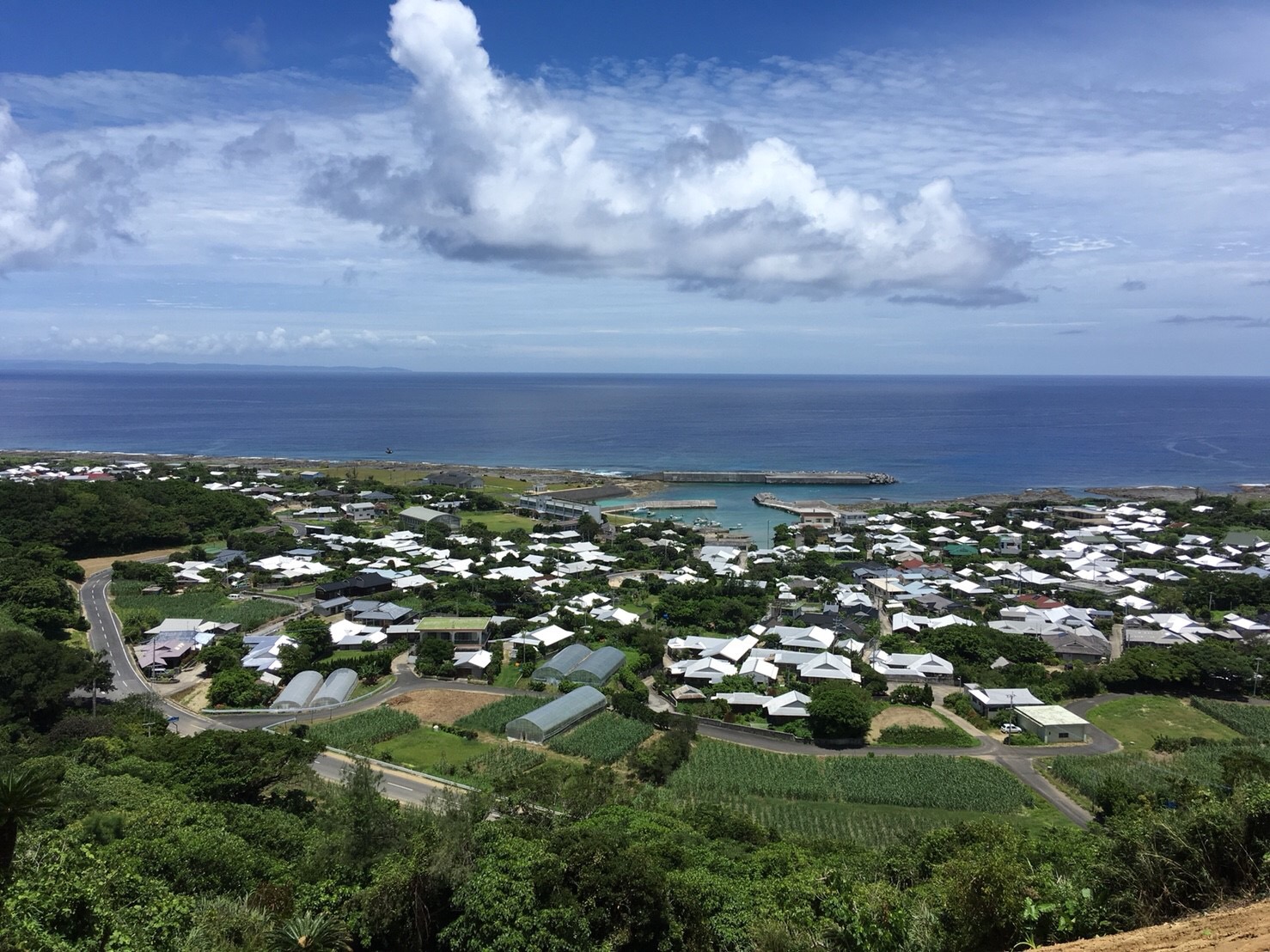 田畑ファーム２１